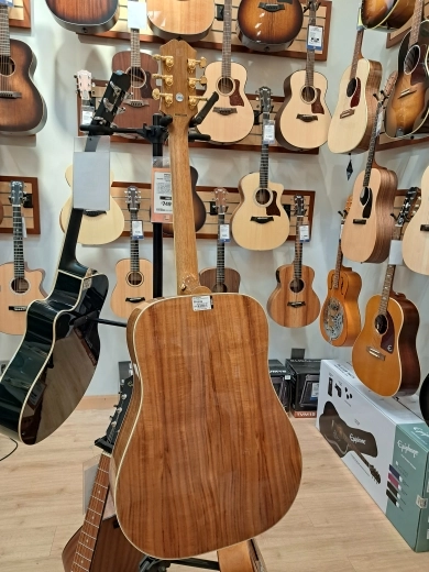 Epiphone Hummingbird Koa Top 2